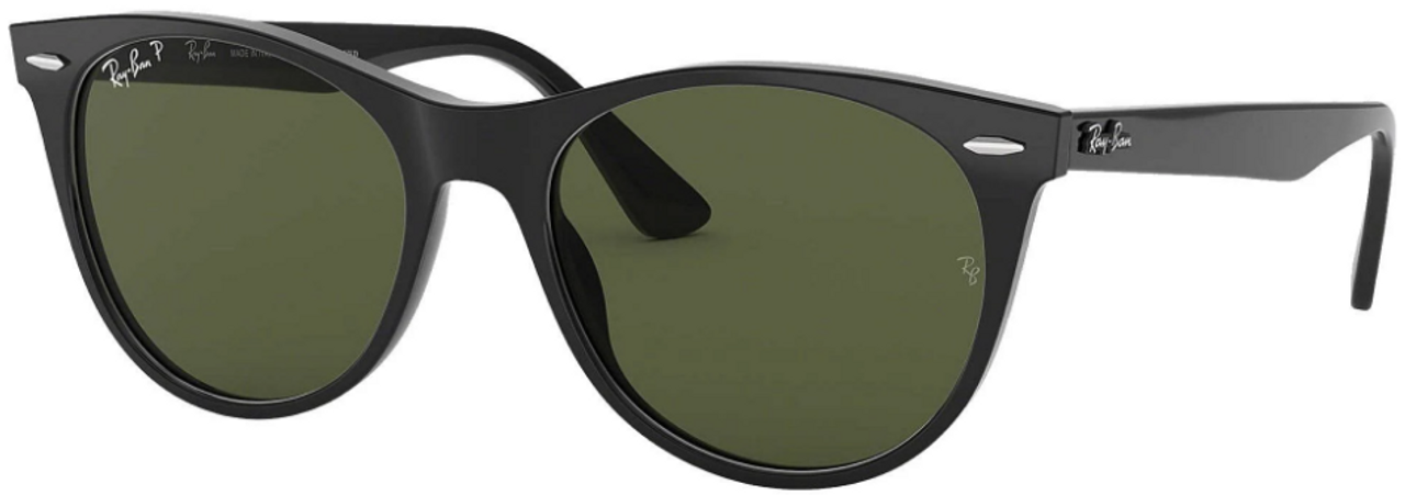 Ray-Ban Wayfarer II Sunglasses